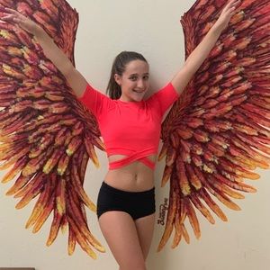 ROSE RED CROP TOP BANDAGE